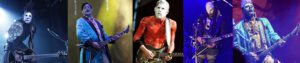 wes borland