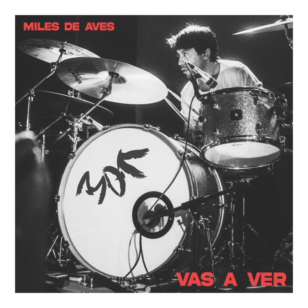 miles de aves
