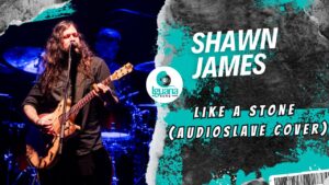 shaw_james_concierto