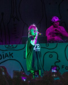 Die Antwoord - @luchohackfotos