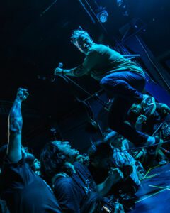 Fiddlehead @luchohackfotos