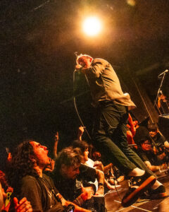 Fiddlehead @luchohackfotos