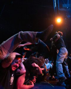 Fiddlehead @luchohackfotos