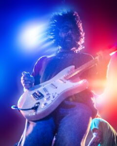 Fiddlehead @luchohackfotos