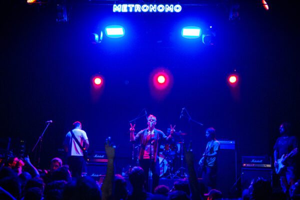 Fiddlehead @luchohackfotos