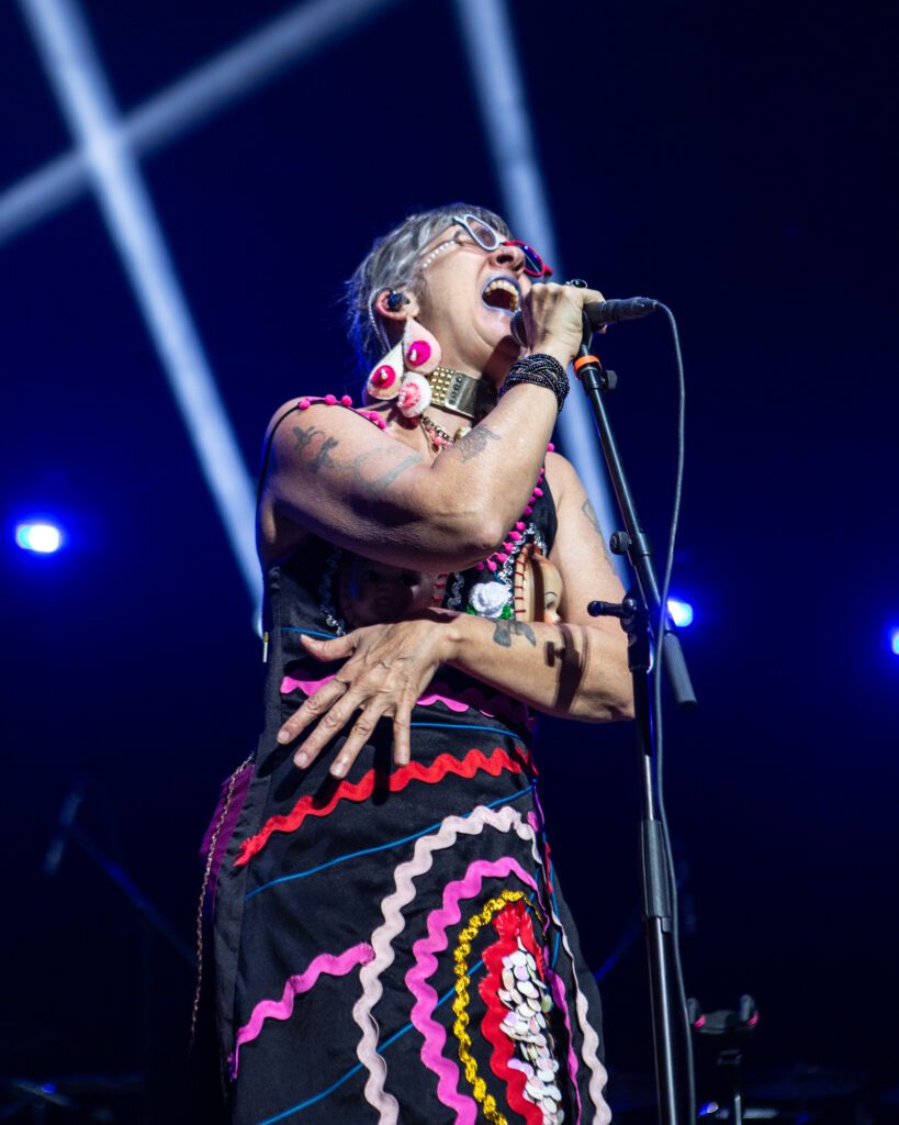 Aterciopelados en la noche del rock latino